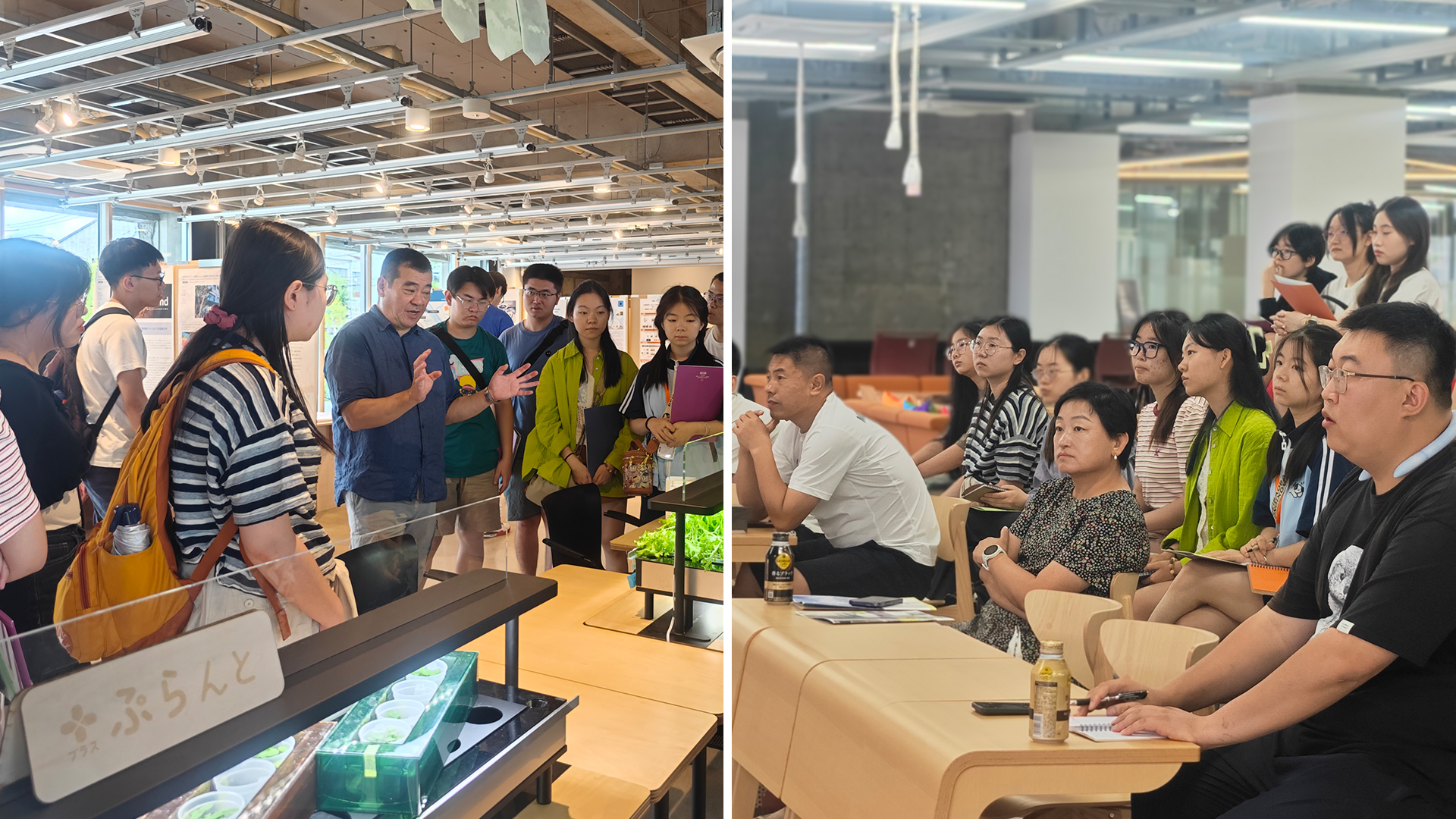 1726644279275025.jpg 1726644279275025.jpg